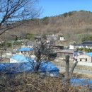 효동1리 Daum카페