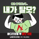 뉴헤어필 | 부산 모발이식 후기, 바디프로필 후 탈모치료?