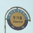 먼나머루