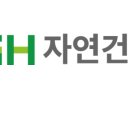 GH지압침대 이미지