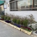 오류동 행정복지센터 네이버블로그