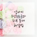 24시큰사랑동물병원 이미지