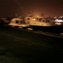 진미고래 이미지