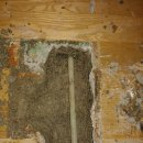 수원시 팔달구 팔달문로139번길 이미지