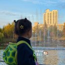 그늘막97 | 김포 아이랑 한강중앙공원 텐트치고 주변에서 하루종일 놀기