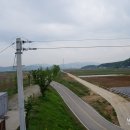 삼천리자전거 인동점 네이버블로그