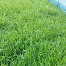 유나네 자연숲 농장 이미지