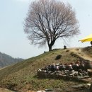 하늘아래첫집민박 이미지