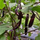 운향농장 이미지