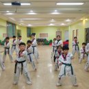 명성 바른자세 태권도 이미지