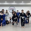 퍼팩트주짓수 이미지