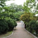 봉황대운동장 이미지