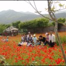 화니어린이집 이미지