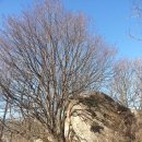 광일목장 | 무등산 태극길,1~2차(함충재,광일목장,투구봉, 윤필봉,풍암제) 종주