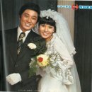 한일 soft 이미지