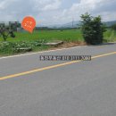 동읍1230 이미지