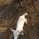 벼리농장 이미지