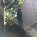 콜렉티보 안암설성점 이미지