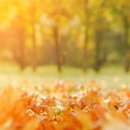 마디시원마취통증의학과의원 이미지