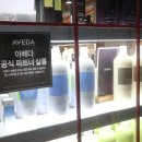 데이지엘헤어 범계점 이미지