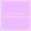 효성그룹과 정유 화학 관련 주식들 전망 (효성 화학, 효성 티앤씨, 효성 첨단소재)