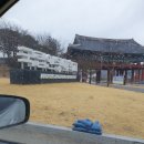 떡자네짬뽕