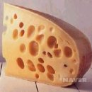 치즈씨 이미지