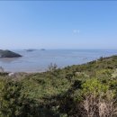 대부해솔길 1-1코스(순환코스) 이미지