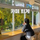은행나무시장 3 | 강릉여행 중앙시장 근처 카페 희게 은행나무 뷰 감성 카페 추천