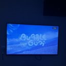 금채샵 이미지