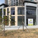 분당구미안경 이미지