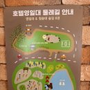 포항상생숲길 | 포항벚꽃명소,호텔영일대 둘레길 벚꽃🌸이디야 &amp; 포항호미곶유채 실시간 후기