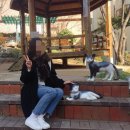 감천2동-9 | [부산] 2박 3일 부산 여행 - 2일차 1/3(감천문화마을/자갈치횟집/광안리) 솔직 후기 + 가성비 갑 횟집 추천