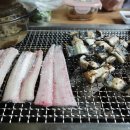 갈릴리농장 이미지