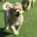 오정유치원 이미지