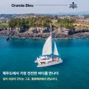 시에스코 | 제주도 9월 가볼만한곳, 선선한 바람과 함께하는 그랑블루요트투어 완벽 체험기