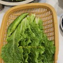 서시루아 이미지