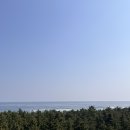 모두와 돈까스 이미지