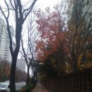 부개성누가의원 이미지