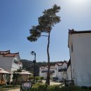 378village 이미지