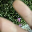 CU전주중화산센터점 이미지