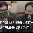 한심한 청문회 민주당 태도 이미지