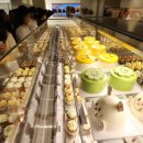 '스타 빵집'도 과잉…옵스·삼송 매출 첫 감소 20250423 한경外 이미지