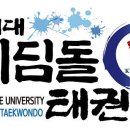 경희대 디딤돌 태권도 이미지