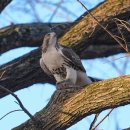 무지개언덕 이미지