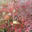 우리부자공인중개사사무소 이미지