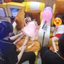 디어푸르츠
