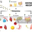 히스타민과다 이미지