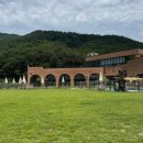 멍멍택시1 이미지