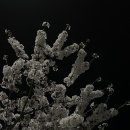 사하구 다대낙조1길, 2길 이미지